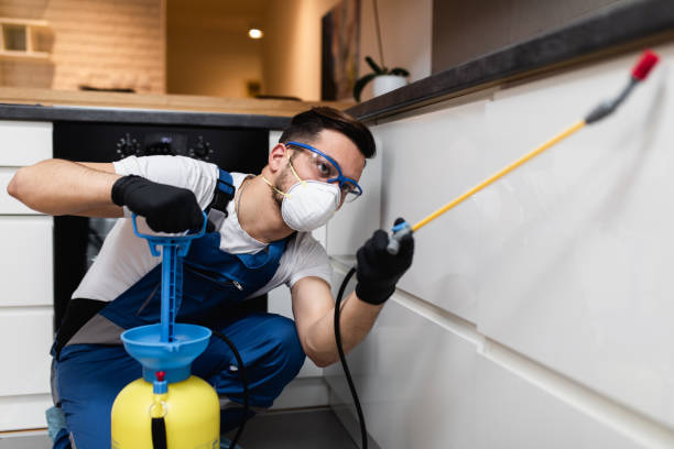 Best Mosquito Control Services  in Brewster, OH