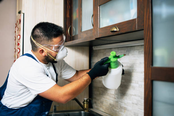 Best Affordable Exterminators  in Brewster, OH