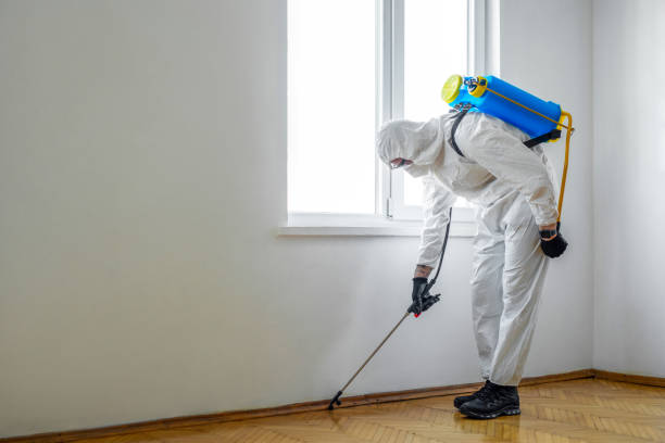Best Affordable Pest Control Services  in Brewster, OH
