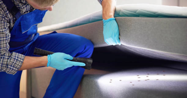 Best Cockroach Control Services  in Brewster, OH
