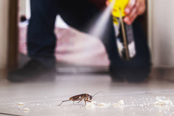 Best Commercial Pest Control Services  in Brewster, OH