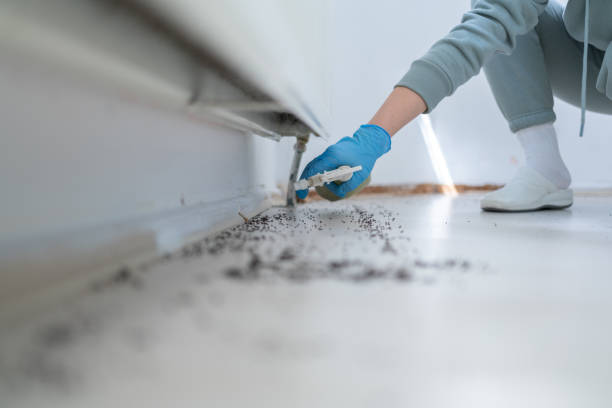 Best Wildlife Control Services  in Brewster, OH